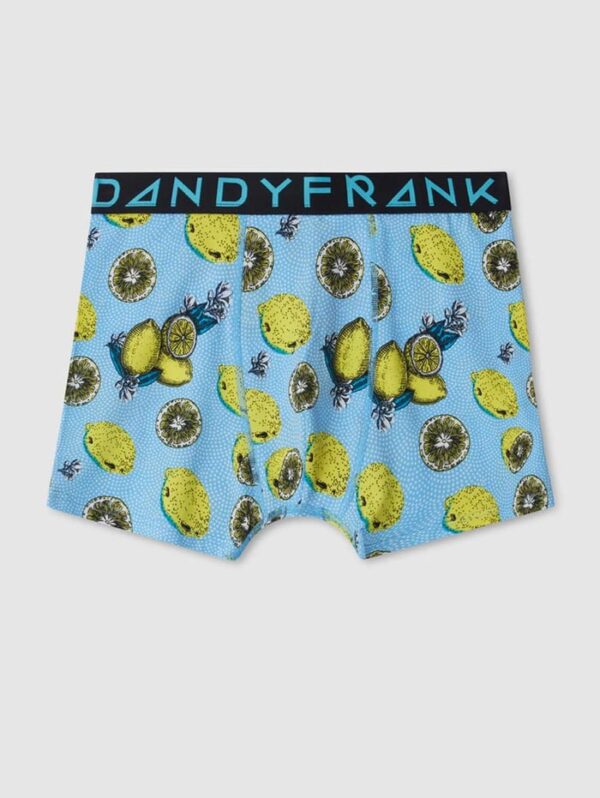 Frank Dandy Lemonade Boxer