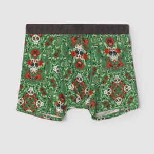 Frank Dandy Paisley Scull Boxer