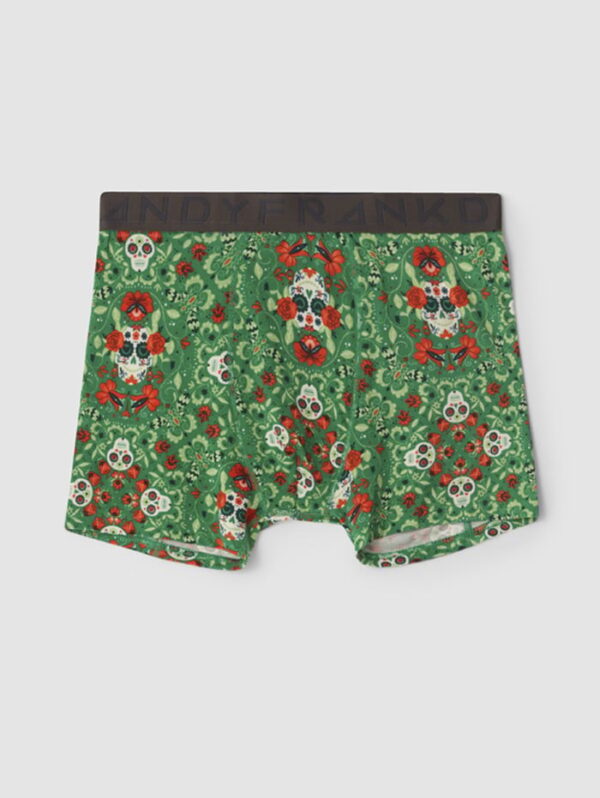Frank Dandy Paisley Scull Boxer